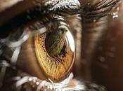 L'art numérique John Mulloor