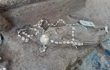 Découverte d'anciennes tombes chinoises contenant les restes de guerriers enterrés vivants