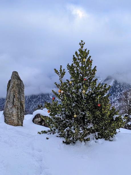 Weihnachtsstechpalme, Schneemänner und Eisskulptur in Mittenwald —  12 Bilder