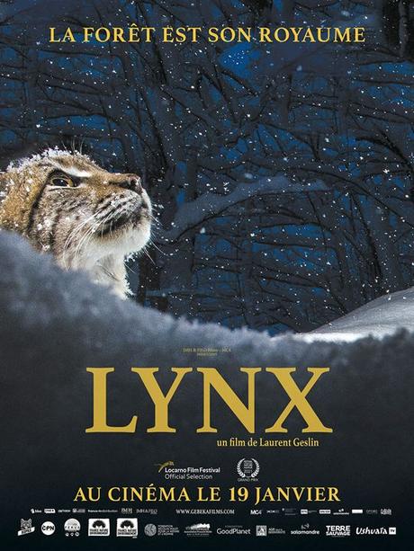 [CRITIQUE] : Lynx