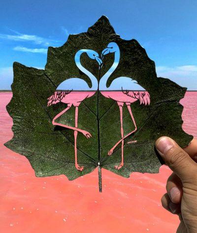 Créations sur feuilles de Kanat Nurtazin