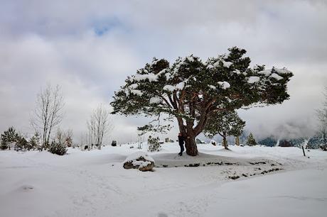 Wintermärchenland Mittenwald — 30 Bilder / 30 photos — Conte de fées hivernal à Mittenwald