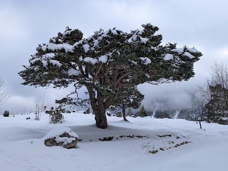 Wintermärchenland Mittenwald — 30 Bilder / 30 photos — Conte de fées hivernal à Mittenwald