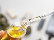 COVID-19 CANNABIDIOL, efficacité prophylactique