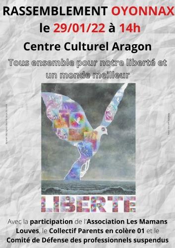 manifestation,oyonnax,ain,haut bugey,rhône alpes,france,europe,pass de la honte,discrimination,christian cottet-emard,blog littéraire de christian cottet-emard,opposition,contestation,élections,présidentielle 2022,macron dehors,démocratie en danger