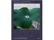 Rinko kawauchi illuminance (tenth anniversary edition)
