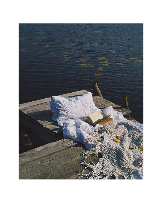 cinemagraph artist on instagram