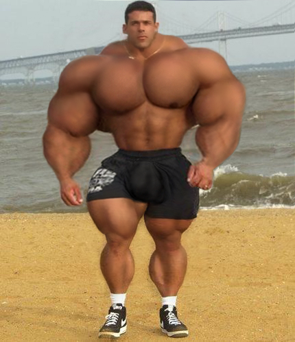 Jeunes et Haïssables Jeunes et Haïssables