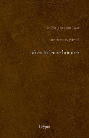 Matthieu Freyheit / Où es-tu jeune homme Matthieu Freyheit / Où es-tu jeune homme