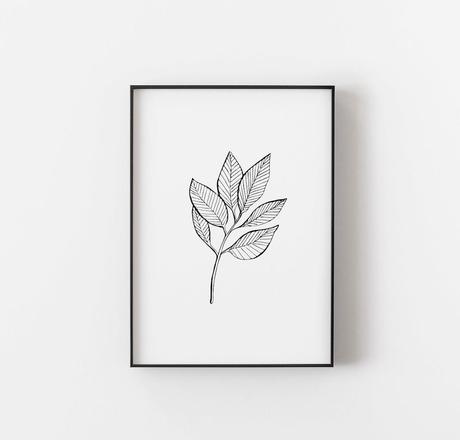 affiche végétale minimaliste dessin branche feuille