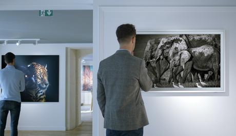 Samsung et YellowKorner enrichissent l’Art Store du téléviseur The Frame et imaginent une  exposition hybride autour des photographies de Laurent Baheux