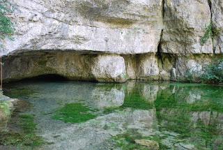 Ce monde est tellement beau Ce monde est tellement beau