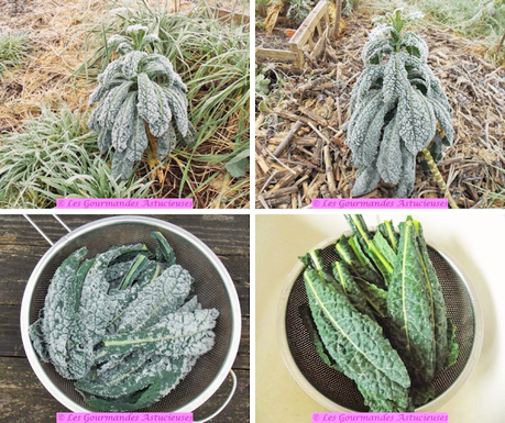 Pâtisson farci avec un reste de boulgour et de houmous (Vegan) Pâtisson farci avec un reste de boulgour et de houmous (Vegan)