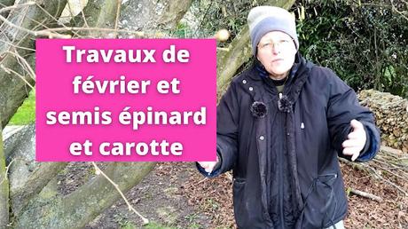 Les travaux de février au jardin urbain en permaculture et semis de carottes et d'épinards