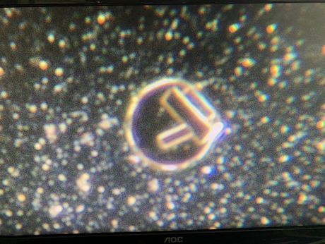 NANOTECHNOLOGIE DANS LA SOUPE VACCINALE?