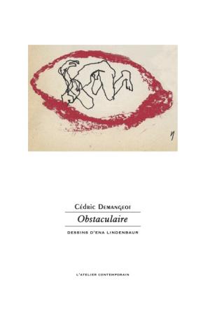 Cédric Demangeot / Obstaculaire