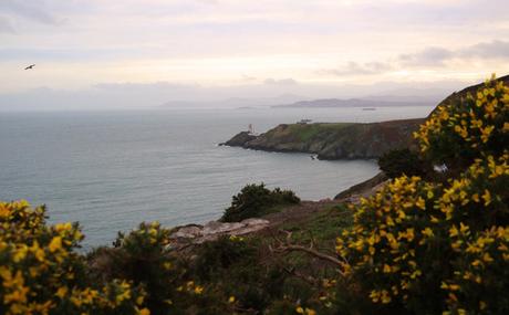 Colorful Dublin… Colorful Dublin…