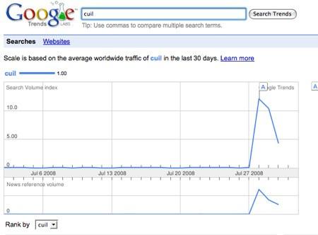 Google Trends: cuil