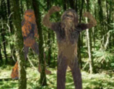 Yeti : existence présumée