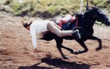 chute cheval 2