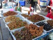 insectes sur le marché de bangkok