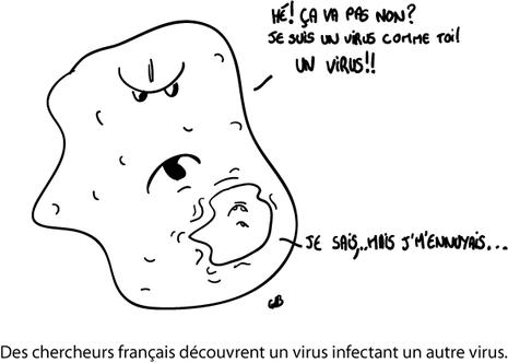 Des chercheurs français découvrent un virus infectant un autre virus