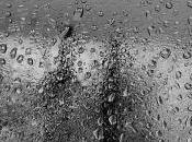 Pierre Vinclair L'Amour Rhône,