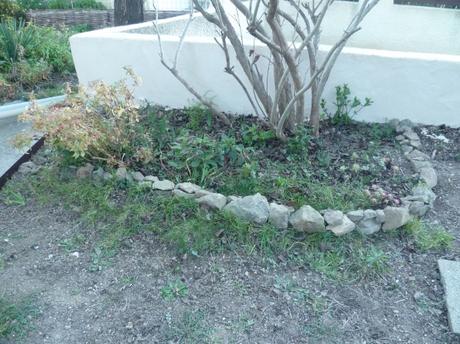 jardin,aménagement,bordures,plantes,désherbage,mauvaises herbes,loisirs,fleurs