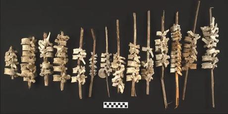 Des scientifiques ont trouvé 192 épines enfilées sur des poteaux au Pérou, une pratique macabre qui pourrait être une réponse au pillage des tombes par les Européens