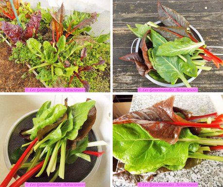 Courge-réceptacle pour accueillir des blettes et des pois cassés (Vegan)