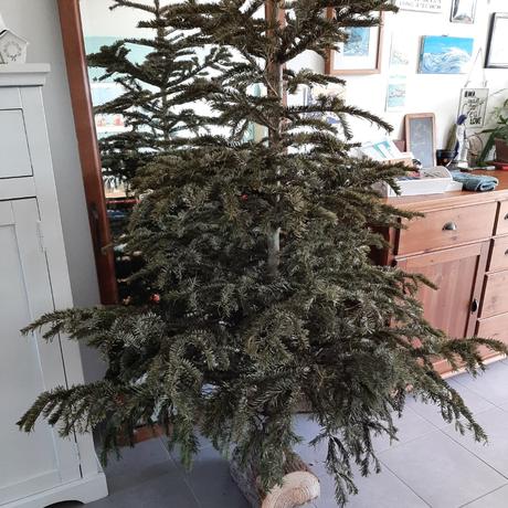 C’était janvier C’était janvier