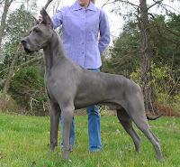 Derry & La Peur Derry & La Peur