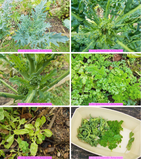 Salade d'hiver pois chiches-radis-fleurs de chou (Vegan) Salade d'hiver pois chiches-radis-fleurs de chou (Vegan)