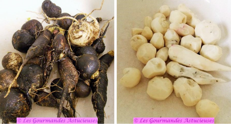 Salade d'hiver pois chiches-radis-fleurs de chou (Vegan) Salade d'hiver pois chiches-radis-fleurs de chou (Vegan)