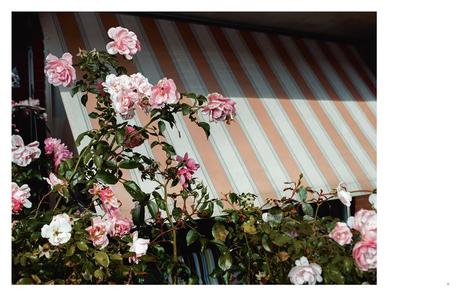 ROBIN DE PUY – DOWN BY THE WATER