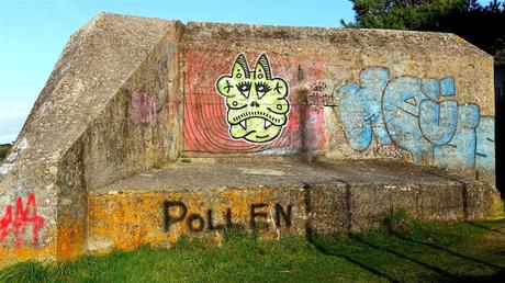 toute la place toute la place