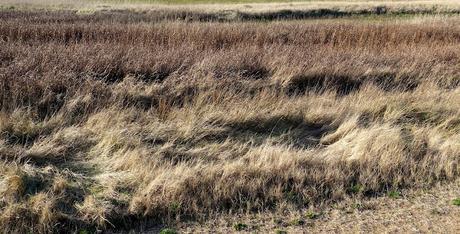 toute la place toute la place