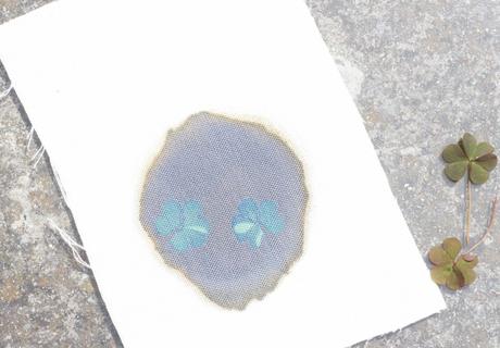 réaction chimique ferricyanure de potassium citrate fer ammoniacal