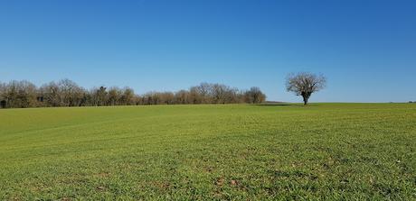 J'ai pris un arbre dans mes bras
