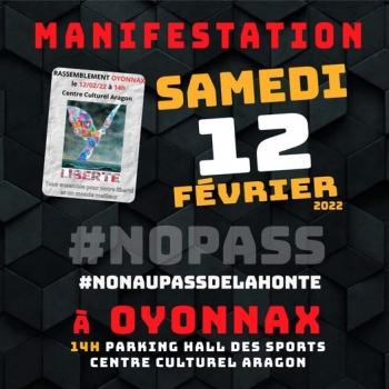 no pass,pass de la honte,contestation,opposition,politique,blog littéraire de christian cottet-emard,macron dehors,oyonnax,ain,haut bugey,rhône alpes,france,europe,christian cottet-emard