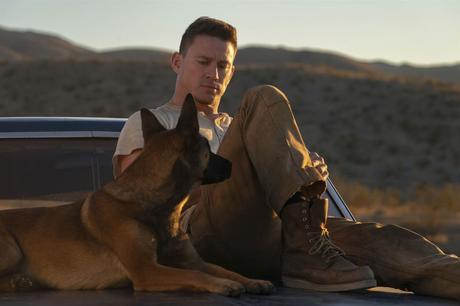 Nouveau trailer pour Dog de Channing Tatum et Reid Carolin