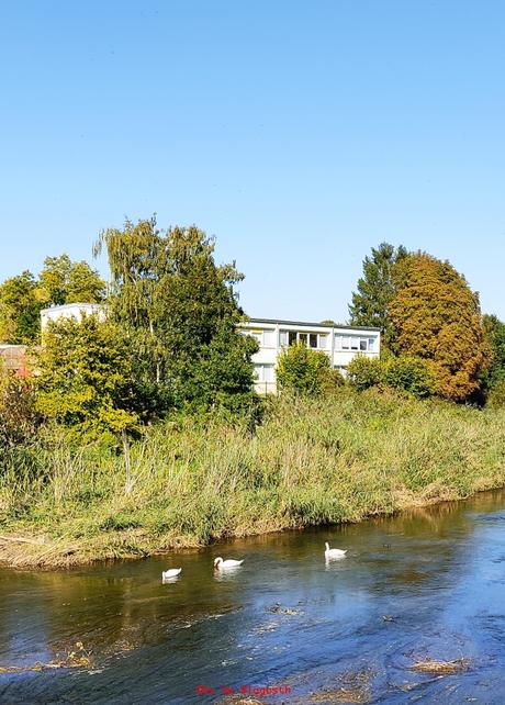 Projet 52-2022 #6 – Souvenir d’enfance