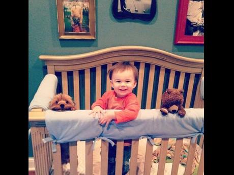 Divers - de belles images - 2