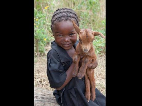 Divers - de belles images - 2