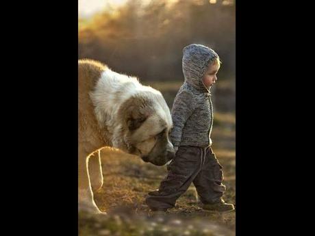 Divers - de belles images - 2