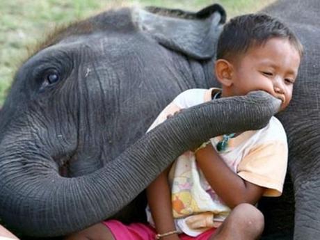 Divers - de belles images - 2