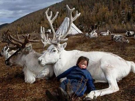 Divers - de belles images - 2