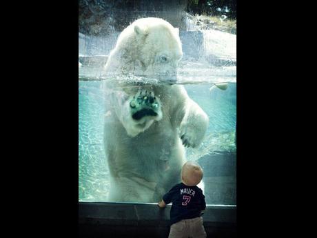 Divers - de belles images - 2