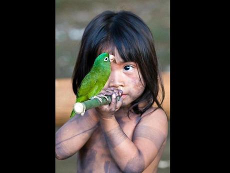 Divers - de belles images - 2