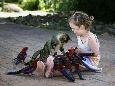 Divers - de belles images - 2